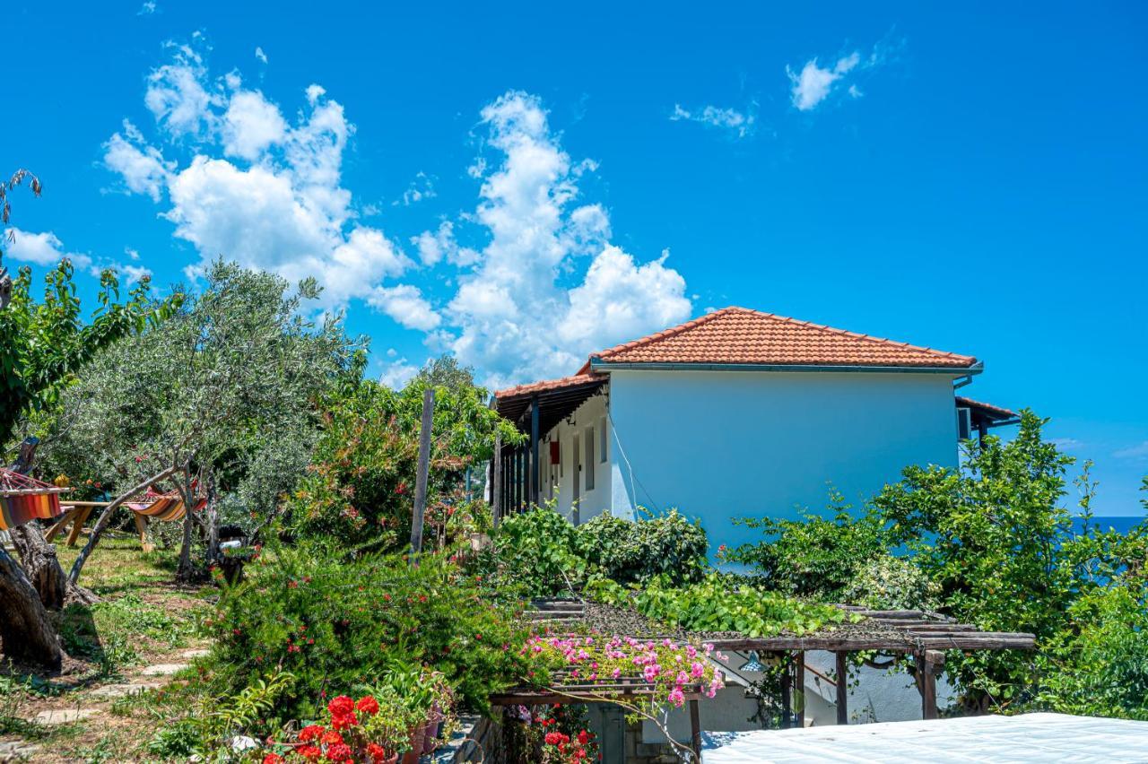 Katerina Fotopoulos Rooms & Apartments - Papanero Com Agios Ioannis  Kültér fotó