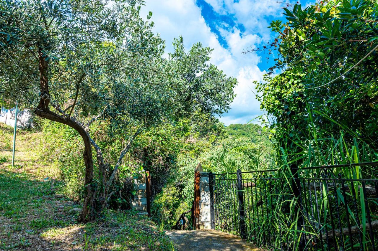Katerina Fotopoulos Rooms & Apartments - Papanero Com Agios Ioannis  Kültér fotó