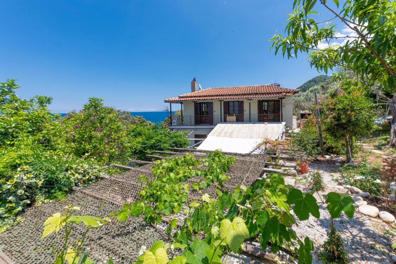 Katerina Fotopoulos Rooms & Apartments - Papanero Com Agios Ioannis  Kültér fotó