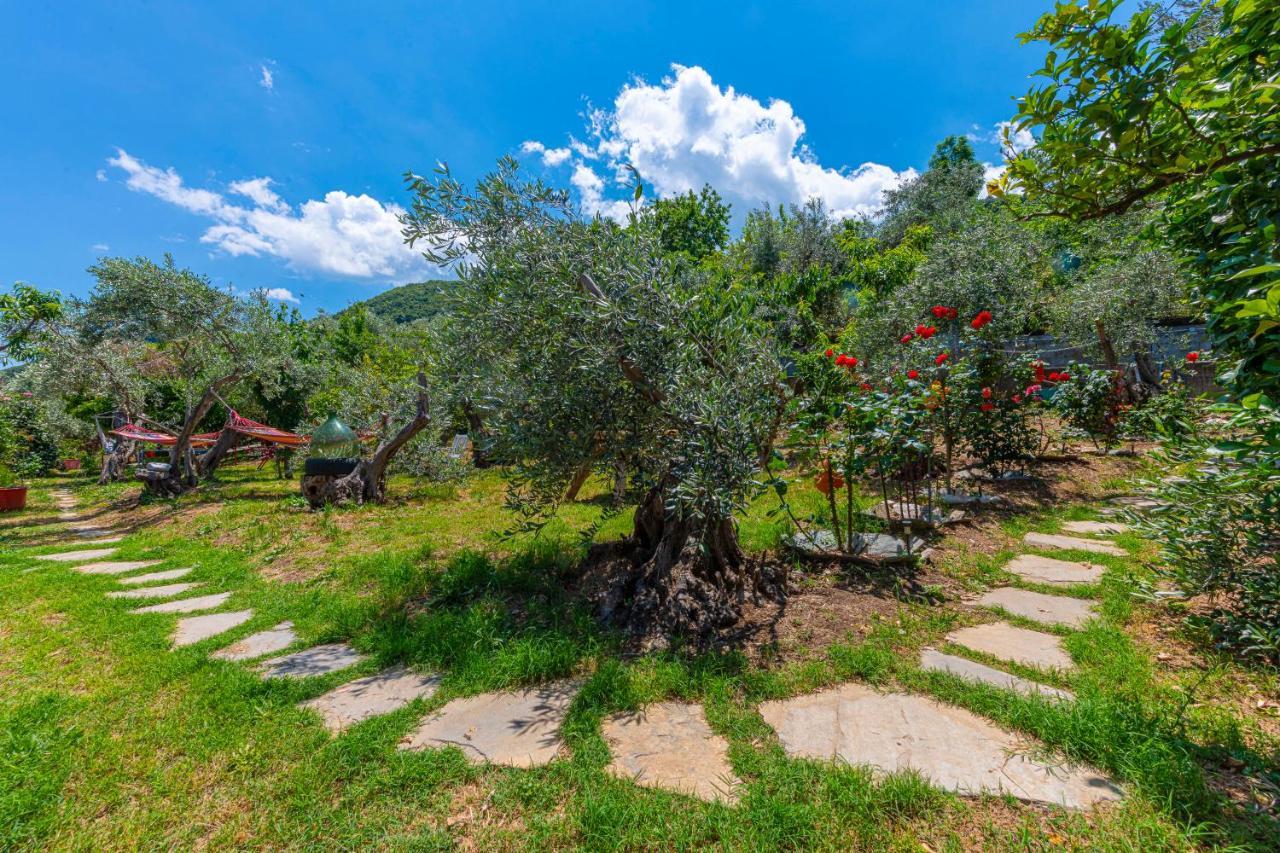 Katerina Fotopoulos Rooms & Apartments - Papanero Com Agios Ioannis  Kültér fotó